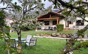 Excepcional Apartamento El Olivo